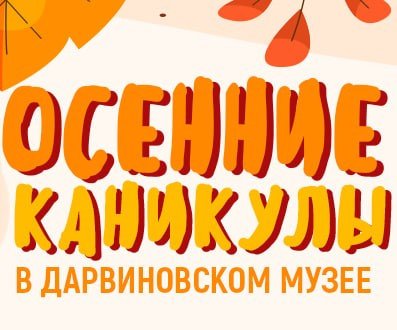 28 октября - 2 ноября – осенние школьные каникулы в музее