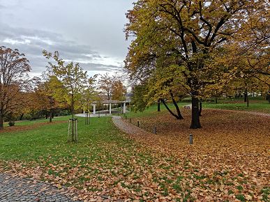 Так снимает OnePlus 15, у которого больше нет камеры Hasselblad. Опубликованы реальные фото со всех камер, 120-кратным зумом и примерами ночной съемки