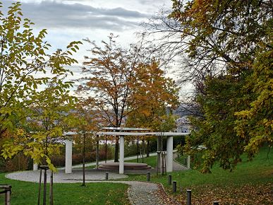 Так снимает OnePlus 15, у которого больше нет камеры Hasselblad. Опубликованы реальные фото со всех камер, 120-кратным зумом и примерами ночной съемки