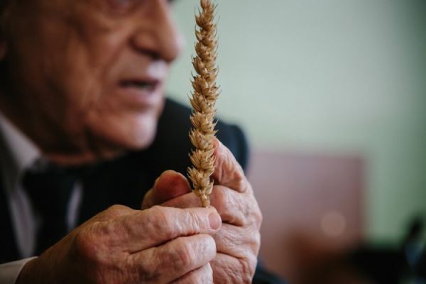 Накормивший хлебом всю Россию. День рождения академика Баграта Сандухадзе