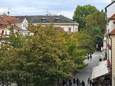 Так снимает OnePlus 15, у которого больше нет камеры Hasselblad. Опубликованы реальные фото со всех камер, 120-кратным зумом и примерами ночной съемки