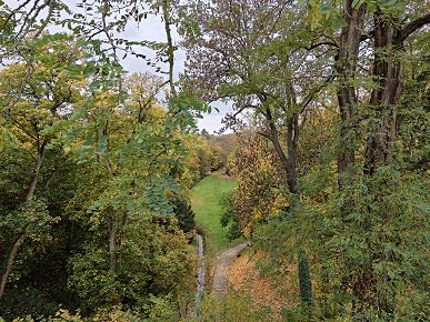 Так снимает OnePlus 15, у которого больше нет камеры Hasselblad. Опубликованы реальные фото со всех камер, 120-кратным зумом и примерами ночной съемки