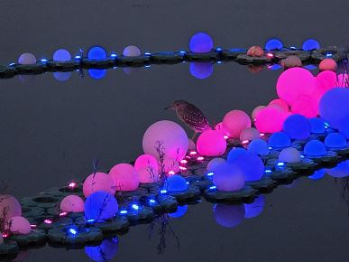 Появилось сравнение съемки Vivo X300 и Samsung Galaxy S25 Ultra — разница видна очень хорошо