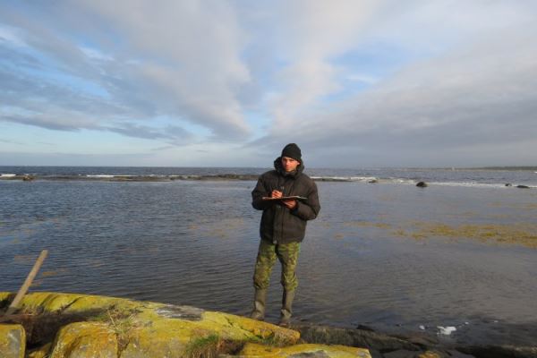 Горные породы у берегов Белого моря могут рассказать о движении тектонических плит 2,7 млрд лет назад