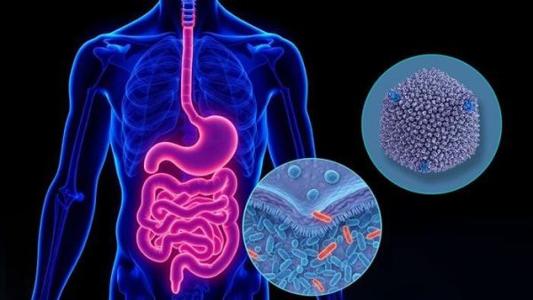 Как патогены создают белковый механизм для выживания в кишечнике