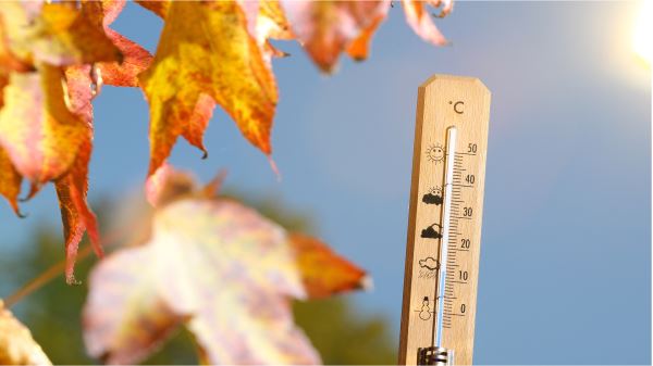 Эксперты рассказали, когда менять летнюю резину на зимнюю