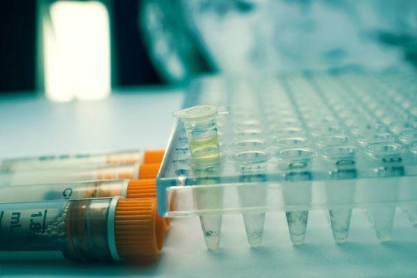 Инфузории помогут ученым создавать лекарства