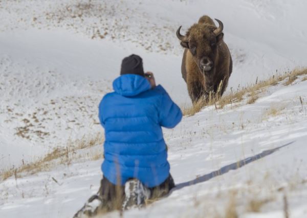«В Приэльбрусье происходит настоящая вакханалия»