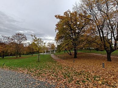 Так снимает OnePlus 15, у которого больше нет камеры Hasselblad. Опубликованы реальные фото со всех камер, 120-кратным зумом и примерами ночной съемки