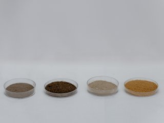 Как радиостронций удерживается в почвах, выяснили химики МГУ