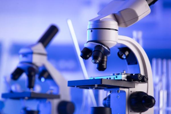 В Китае открылась российско-китайская лаборатория по биоинформатике и инженерной биологии