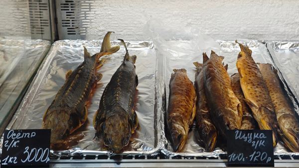 По следам великих: автопутешествие из Москвы за духом уездного города