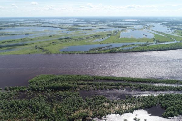 Проектная документация нового моста через Обь разработана с участием географов МГУ