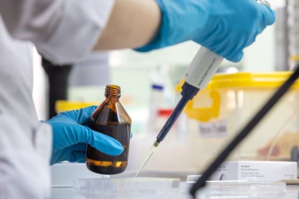 Систему диагностики типа опухоли мозга на основе ИИ разработали в Университете Лобачевского