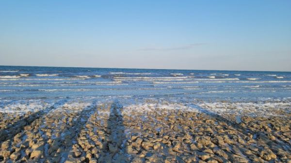 Ученые исследовали осушенное дно Аральского моря