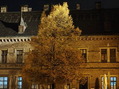 Так снимает OnePlus 15, у которого больше нет камеры Hasselblad. Опубликованы реальные фото со всех камер, 120-кратным зумом и примерами ночной съемки