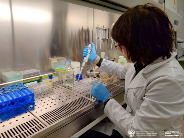 Как особый белок спасает нервные клетки, проверяют сибирские ученые