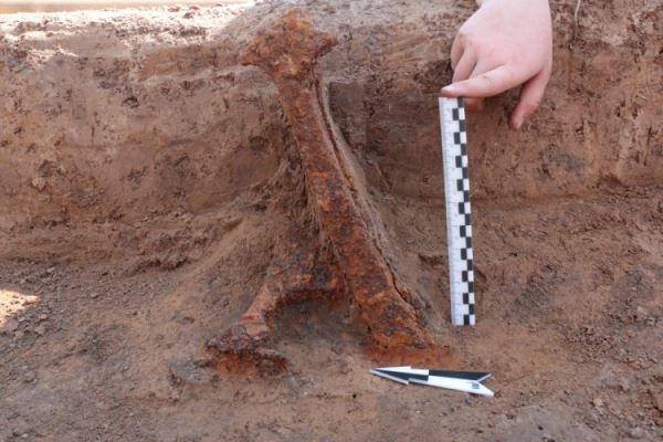 Панорама прошлого: как раскопки на Оке проливают свет на историю древнего племени мурома