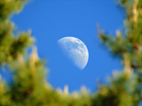 Почему на небе днём видна Луна: нередкое явление, которое мало кто замечает