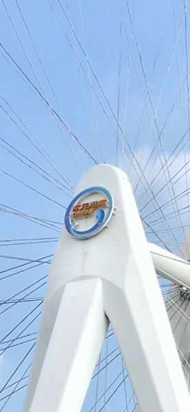 Появилось сравнение съемки Vivo X300 и Samsung Galaxy S25 Ultra — разница видна очень хорошо