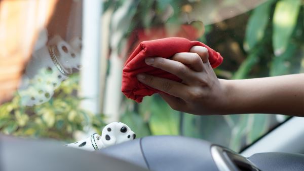 Запотевшие стёкла: 6 лайфхаков, которые помогут быстро вернуть ясный обзор