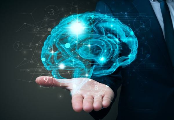 В ЛЭТИ создали высокоточную нейросеть для быстрого выявления рака поджелудочной железы на ранних стадиях