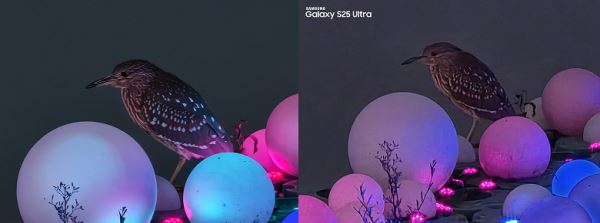 Появилось сравнение съемки Vivo X300 и Samsung Galaxy S25 Ultra — разница видна очень хорошо