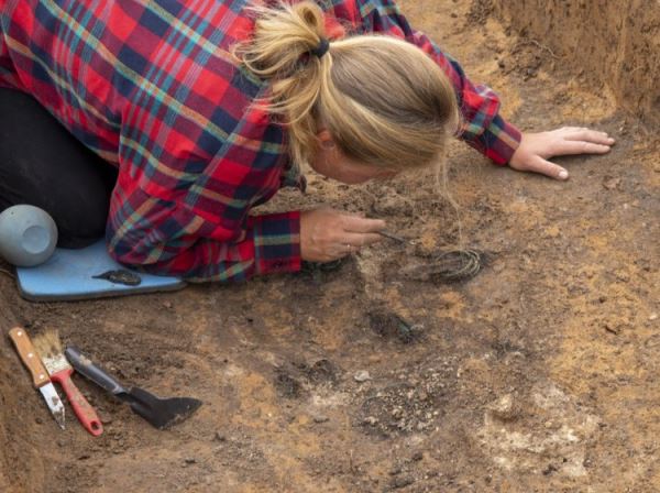 Панорама прошлого: как раскопки на Оке проливают свет на историю древнего племени мурома